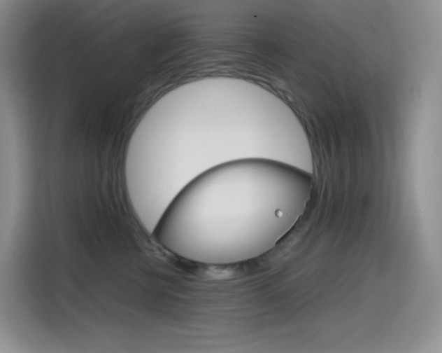 X0000114430570200910161034
