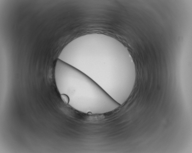 X0000114430571200910161034