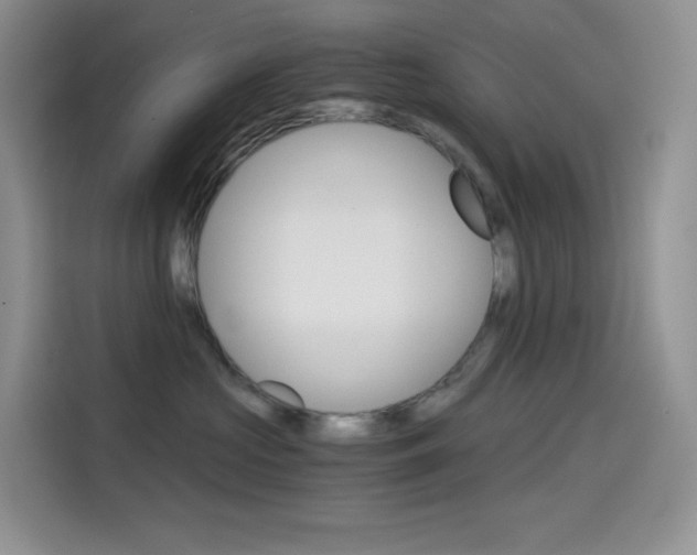 X0000114430573200910161034