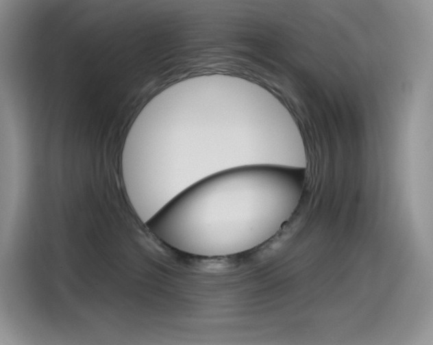 X0000114430574200910161034