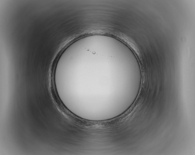 X0000114430578200910161034