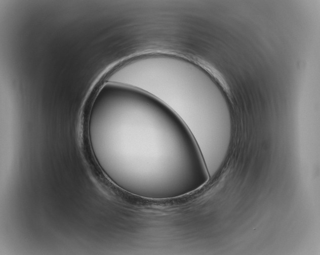 X0000114430580200910161034