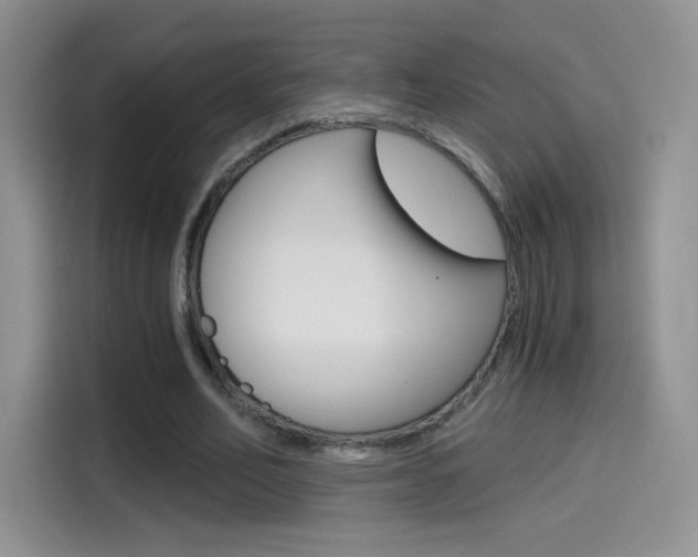 X0000114430582200910161034