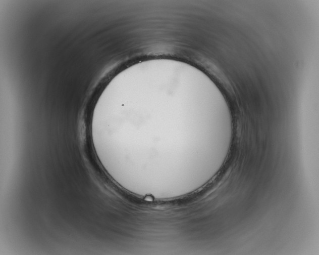 X0000114430584200910161034