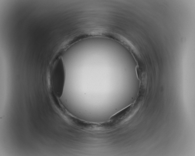 X0000114430589200910161034