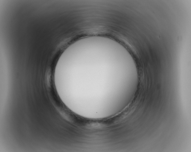 X0000114430590200910161034