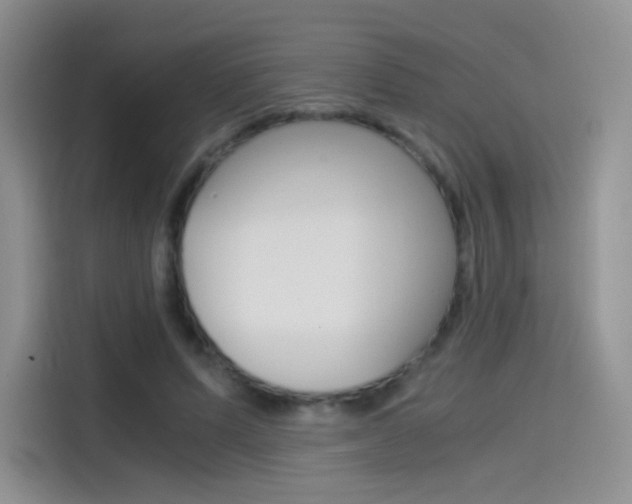 X0000114430591200910161034