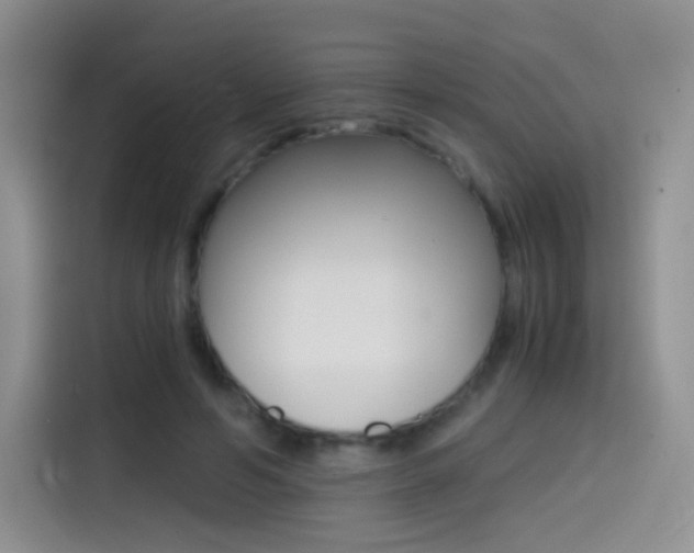 X0000114430594200910161033