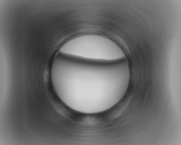 X0000114430596200910161033