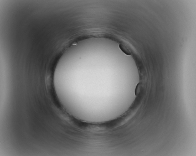 X0000114430597200910161033