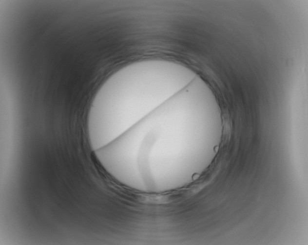X0000114430599200910161033