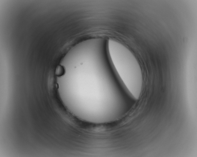 X0000114430600200910161033