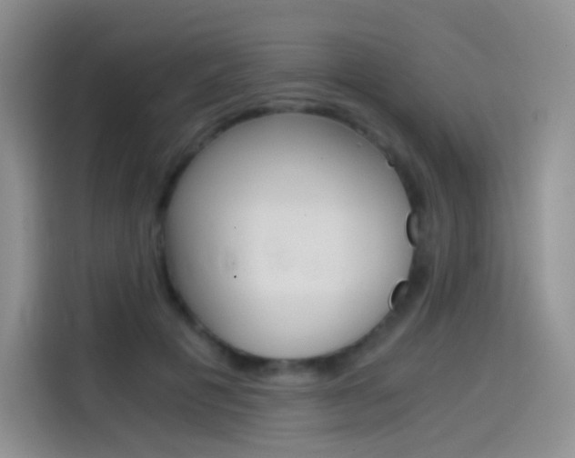 X0000114430601200910161033