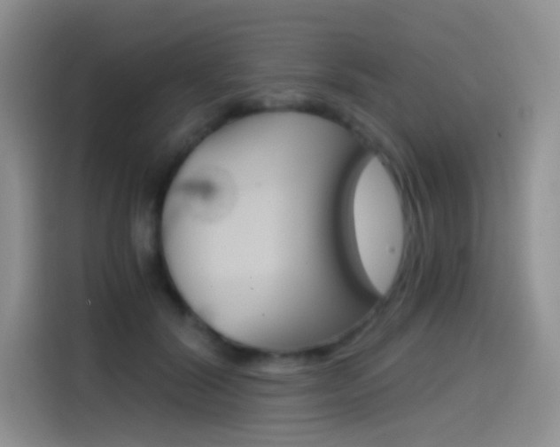 X0000114430604200910161033