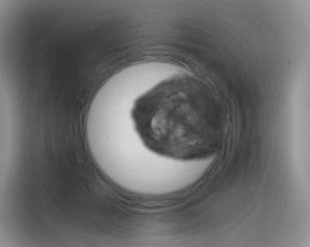 X0000114430605200910161033