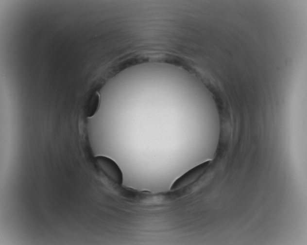 X0000114430609200910161033