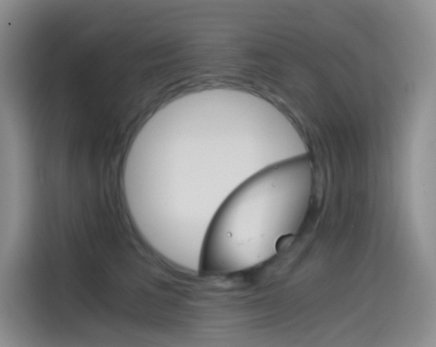 X0000114430613200910161033