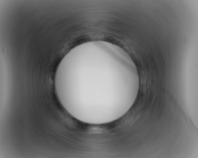 X0000114430614200910161033