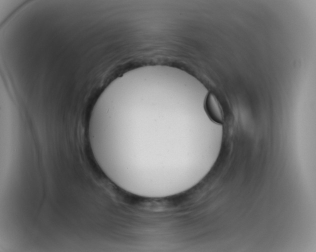 X0000114430615200910161033