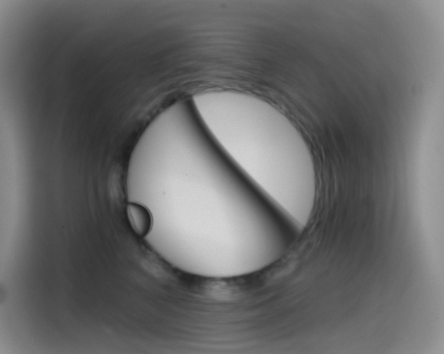X0000114430616200910161033