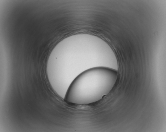 X0000114430617200910161033