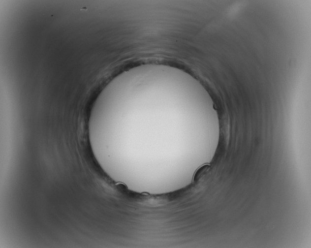 X0000114430619200910161033
