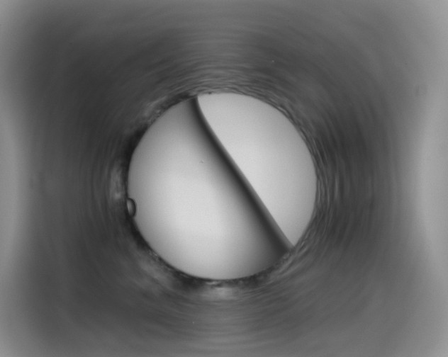 X0000114430620200910161033