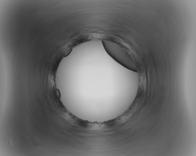 X0000114430621200910161033