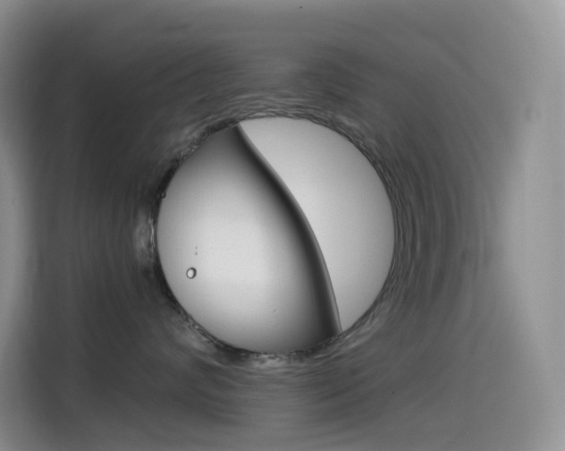 X0000114430624200910161033