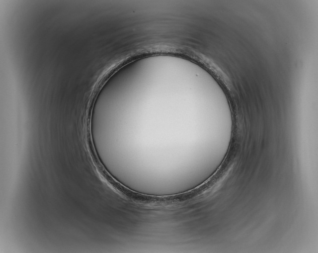 X0000114430625200910161032