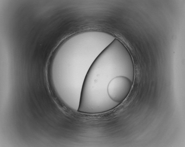 X0000114430626200910161032