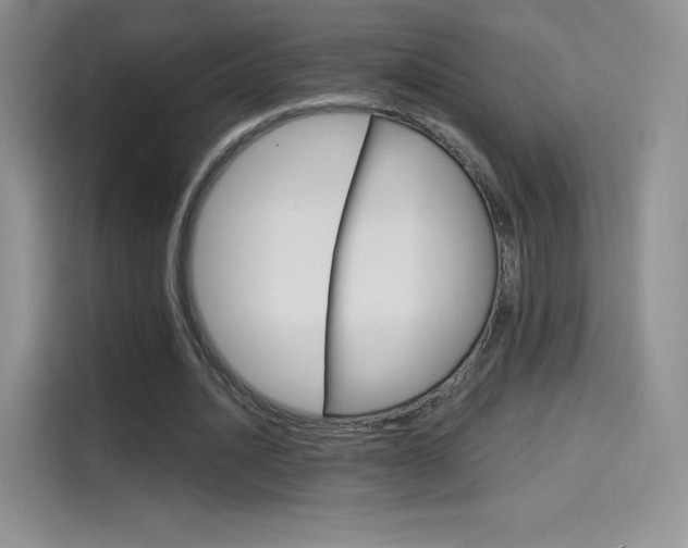 X0000114430628200910161032