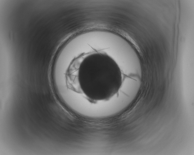 X0000114430629200910161032