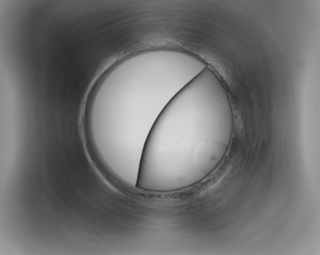 X0000114430630200910161033