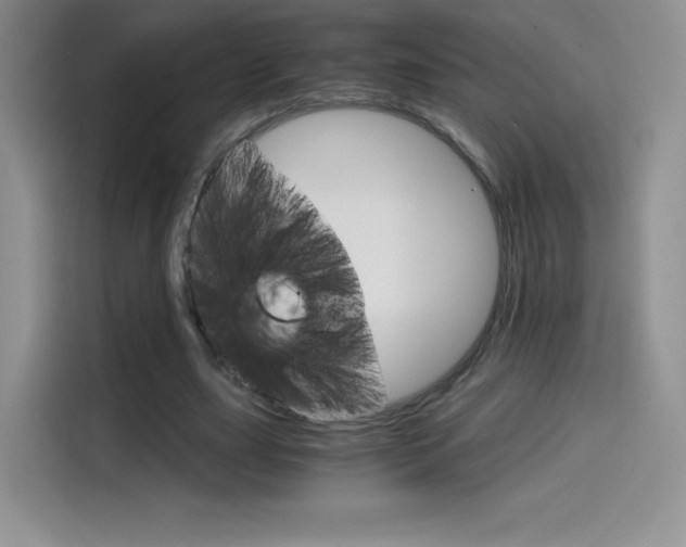 X0000114430631200910161033