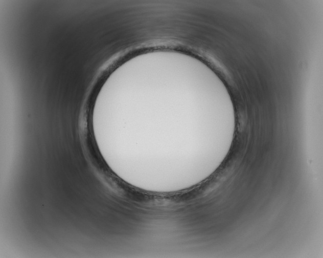 X0000114430632200910161033