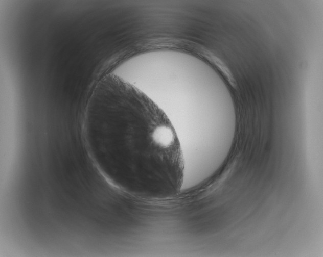X0000114430633200910161033