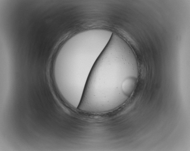 X0000114430634200910161033