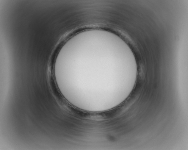 X0000114430636200910161033