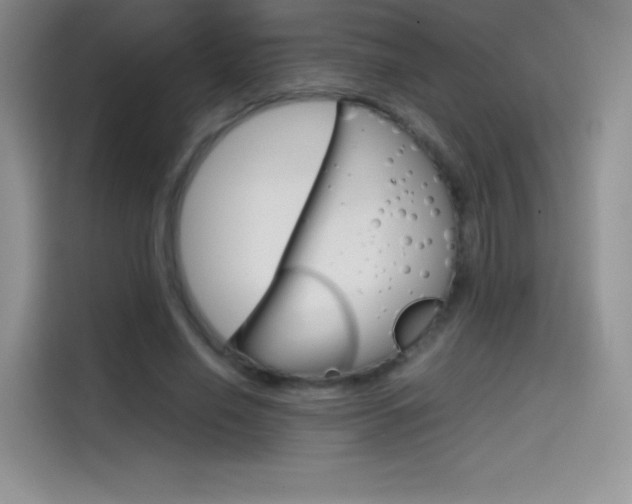 X0000114430638200910161033