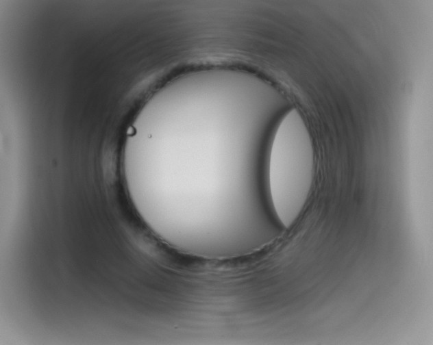 X0000114430640200910161033