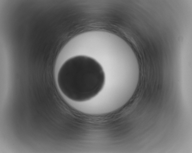 X0000114430641200910161033