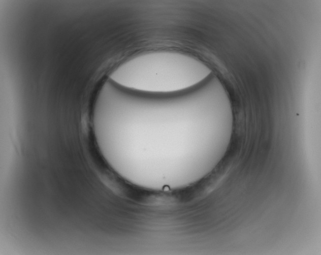 X0000114430644200910161033