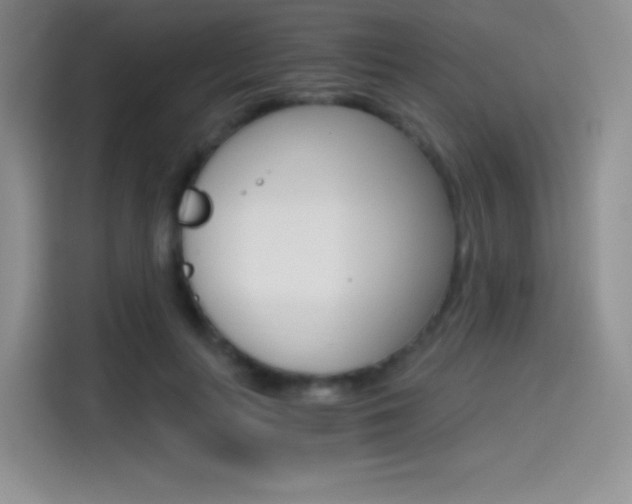 X0000114430647200910161033