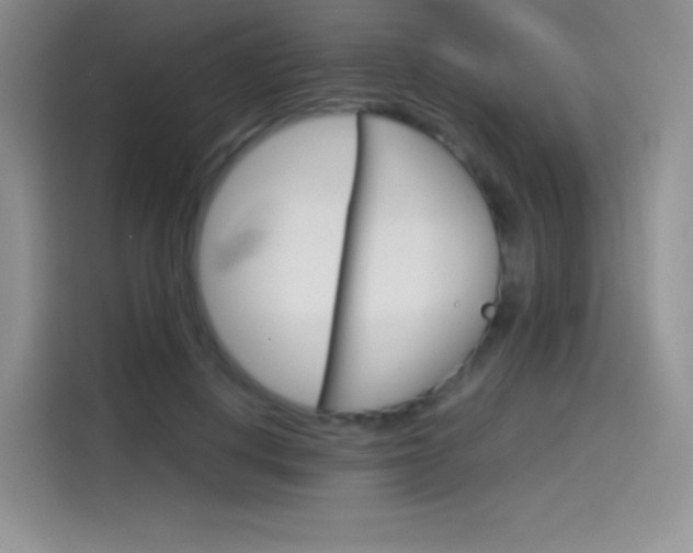 X0000114430648200910161033