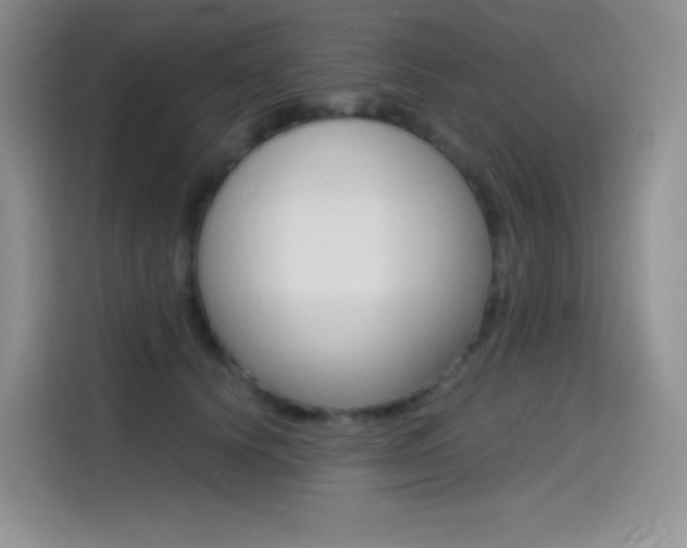 X0000114430656200910161033