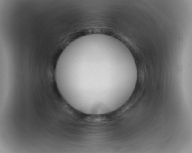 X0000114430661200910161033