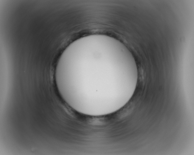 X0000114430664200910161033
