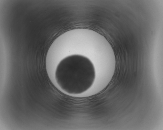 X0000114430669200910161033