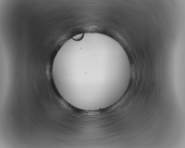 X0000114430670200910161033